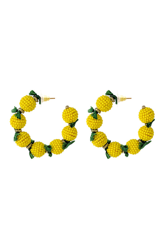 Fancy Fruit Seed Bead Hoop Earrings