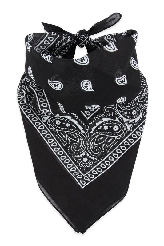 Multi-Purpose Paisley Printed Bandana