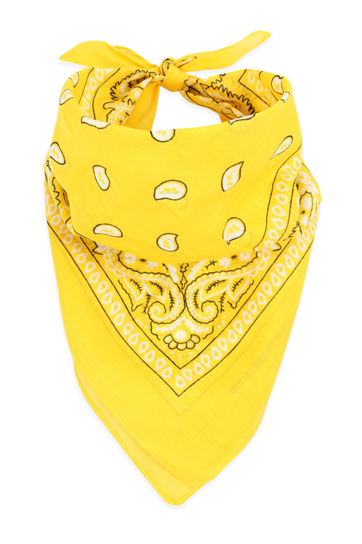 Multi-Purpose Paisley Printed Bandana