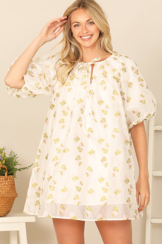 Puff Sleeve Keyhole Tie Neck Printed Mini Dress
