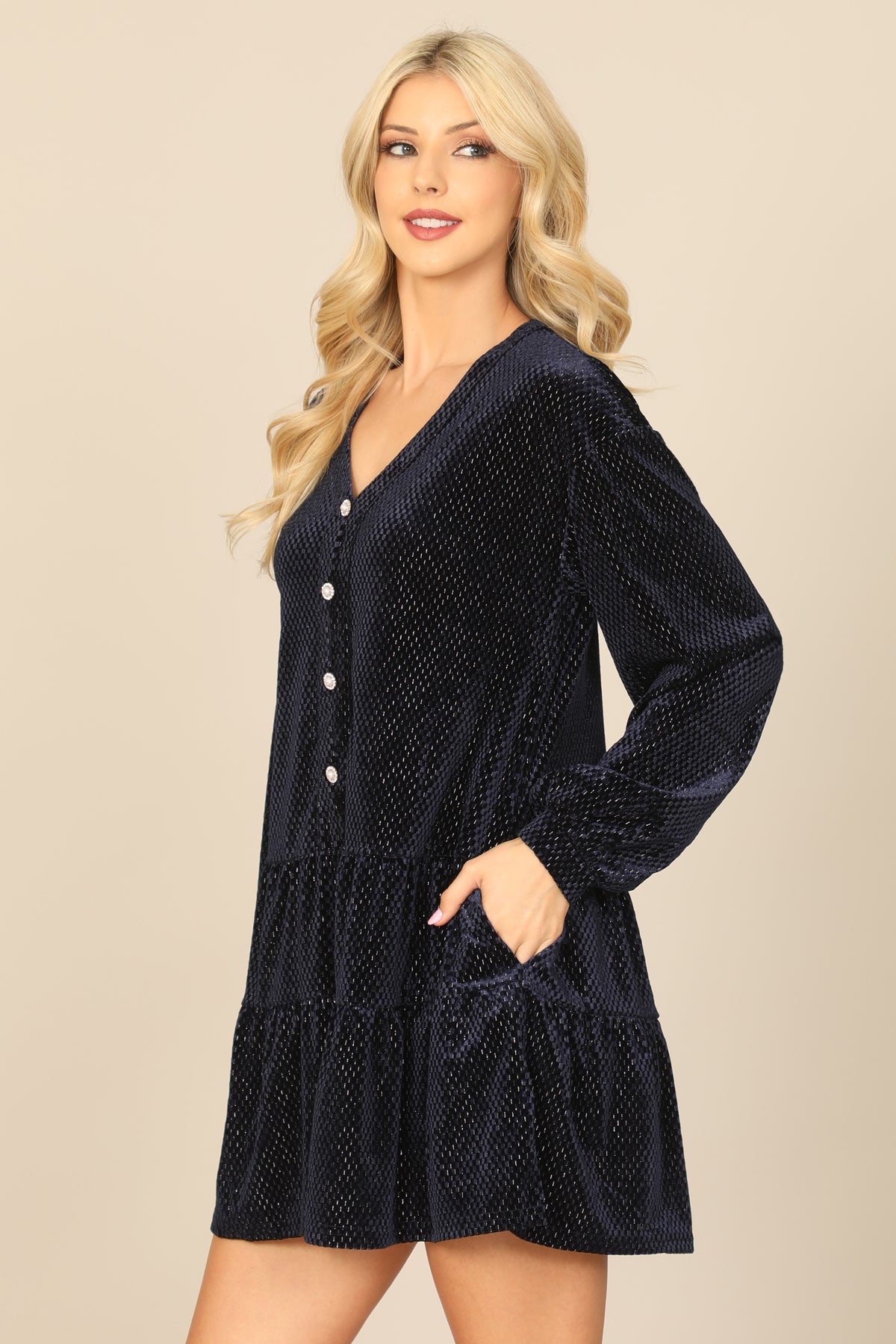 Velvet Long Puff Sleeve Button Detail Silver Detail Dress