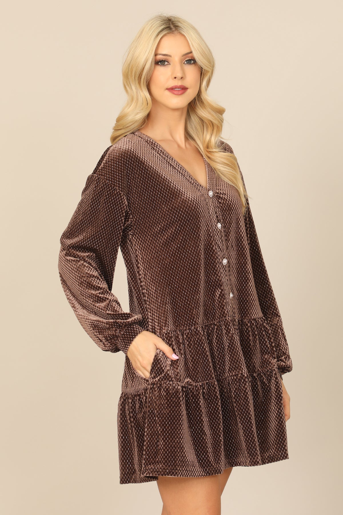 Velvet Long Puff Sleeve Button Detail Silver Detail Dress