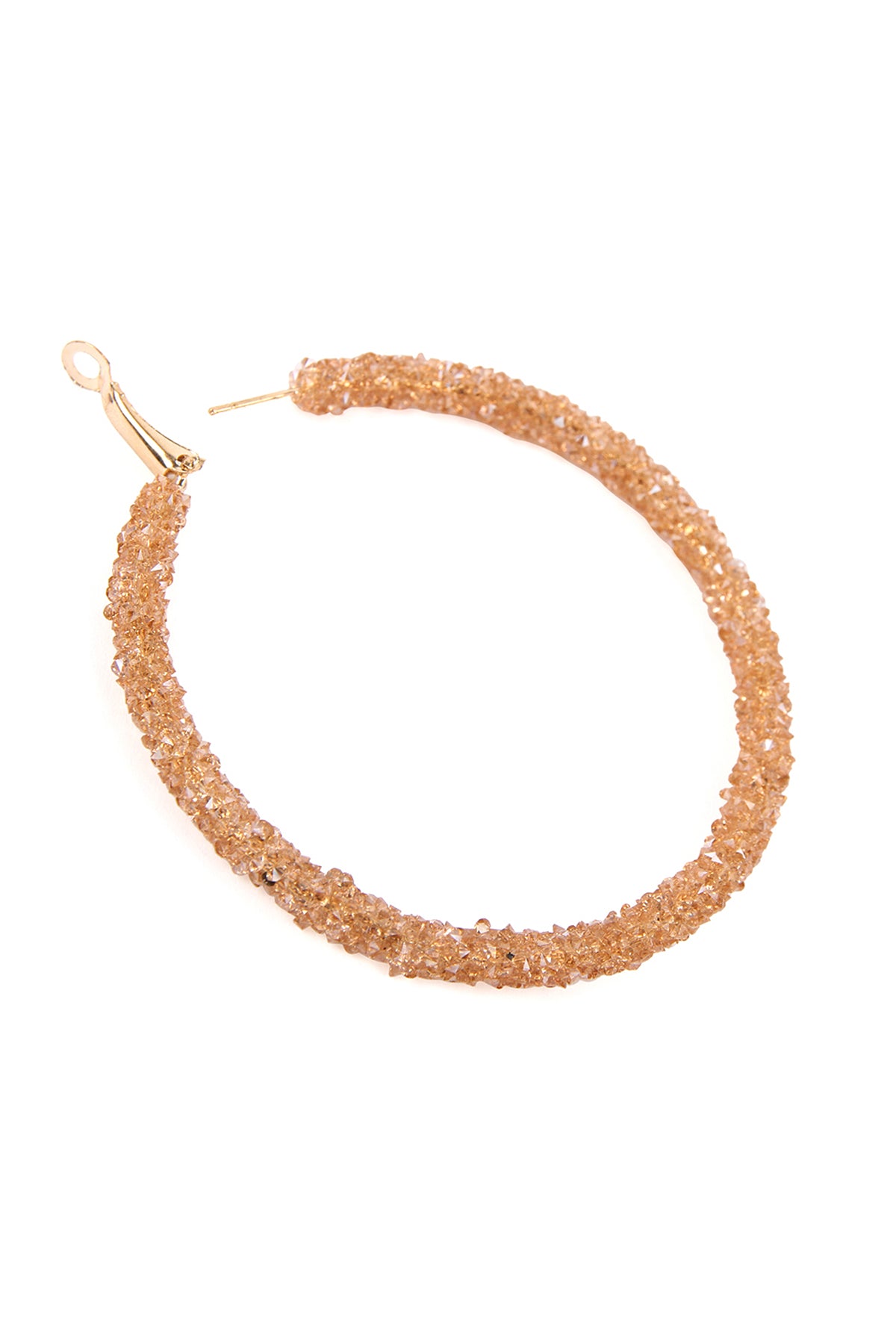 Rhinestone Coated Hoop Earring