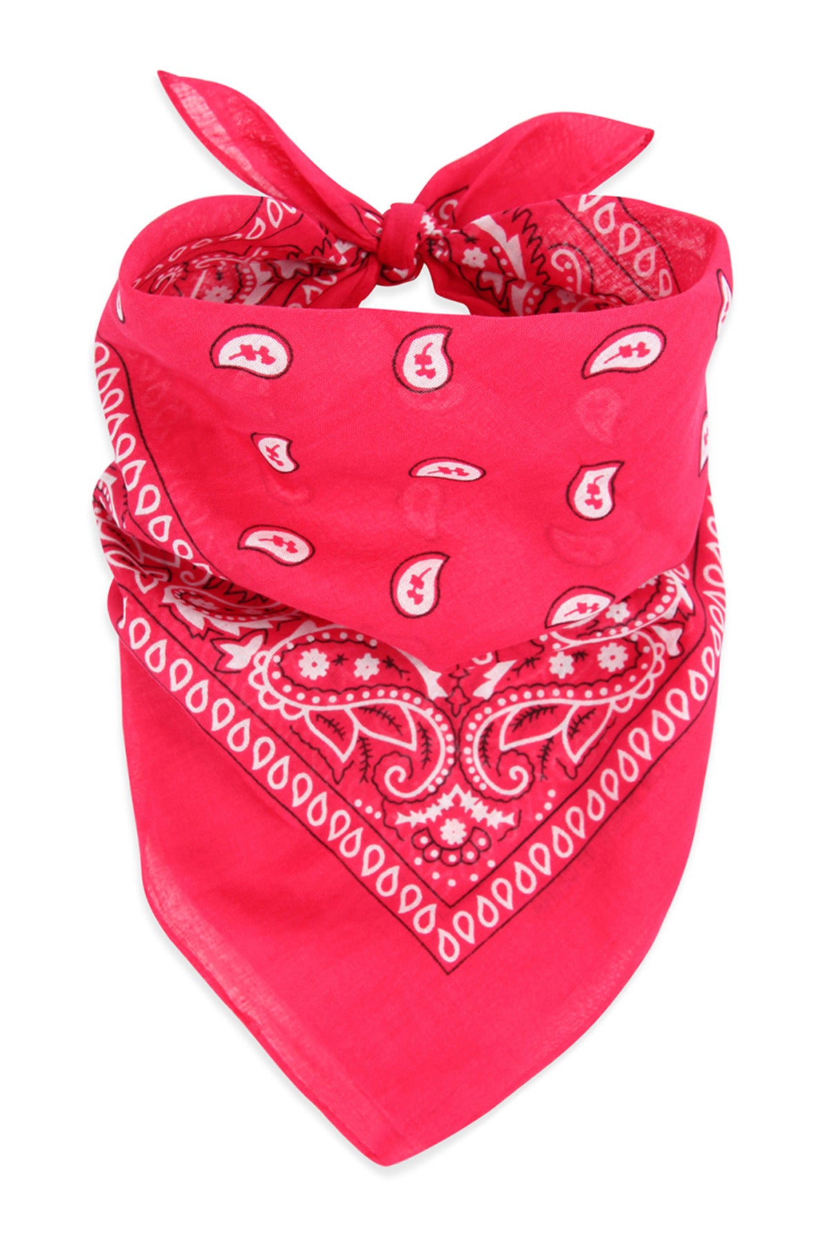 Multi-Purpose Paisley Printed Bandana