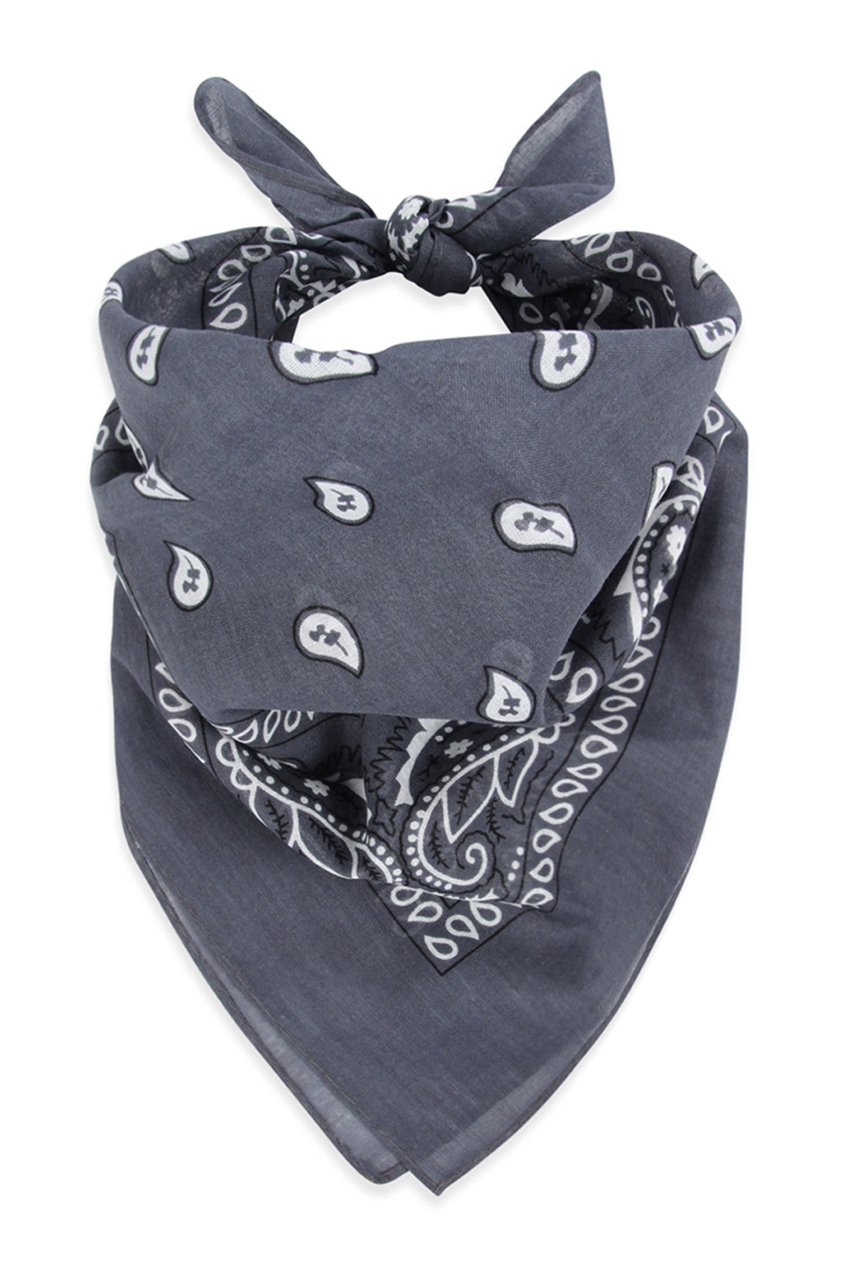 Multi-Purpose Paisley Printed Bandana