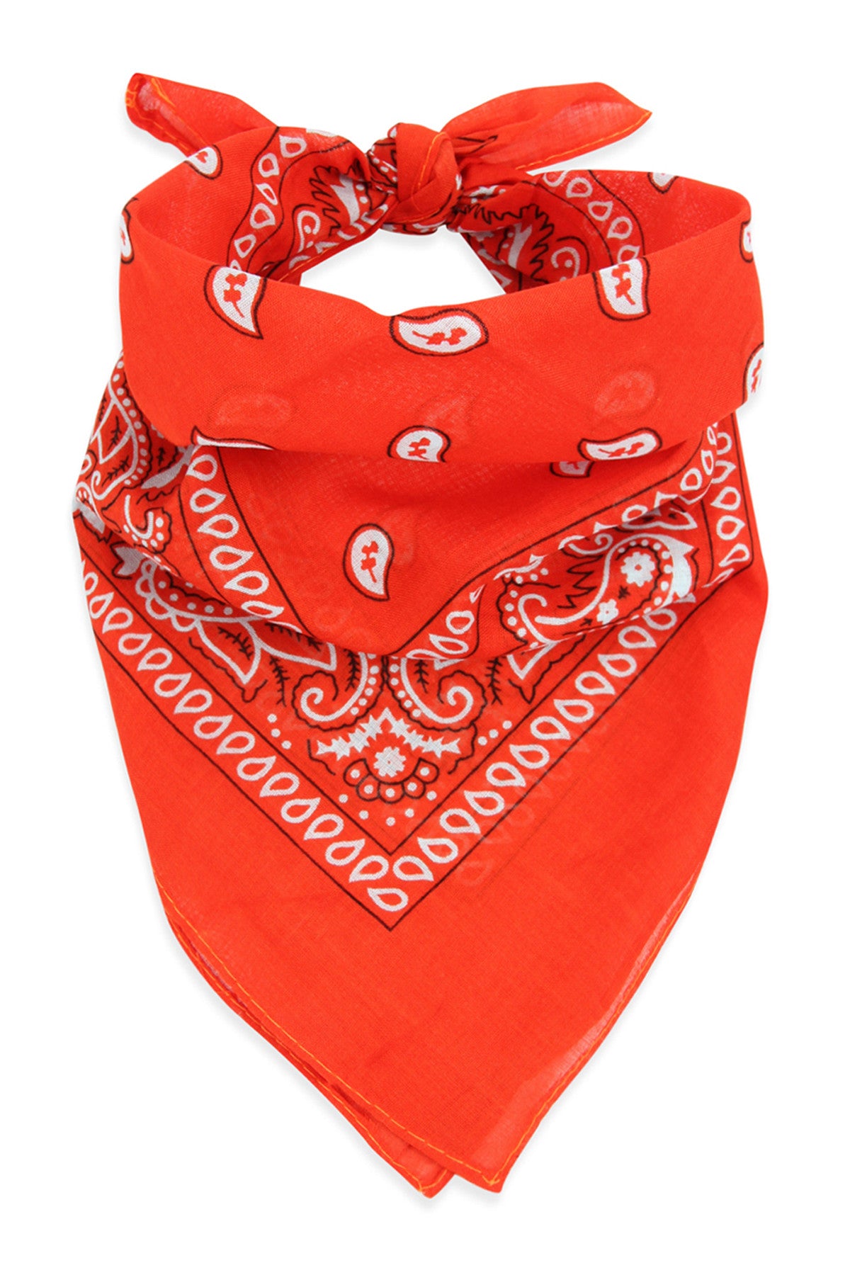 Multi-Purpose Paisley Printed Bandana