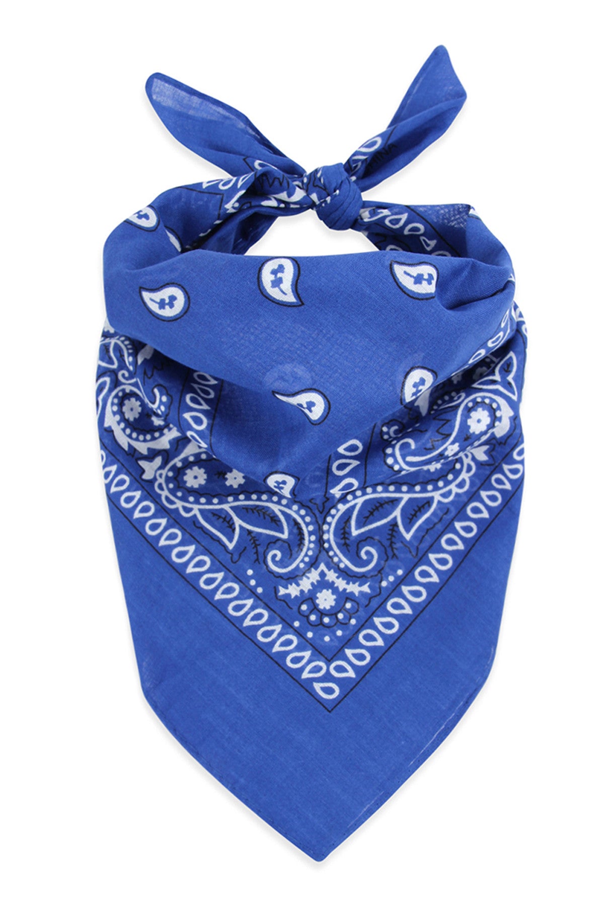 Multi-Purpose Paisley Printed Bandana