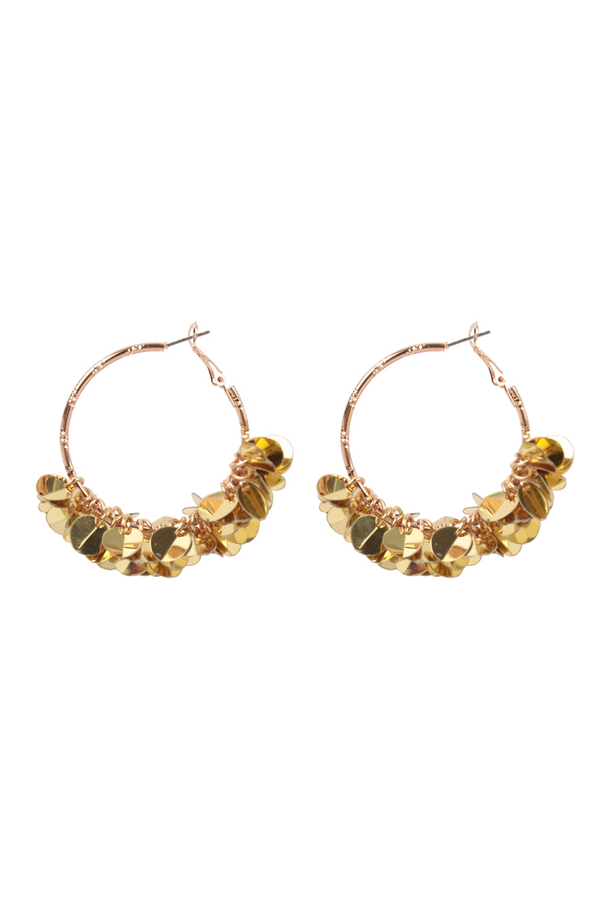 Se2uin Dangle Hoop Earrings