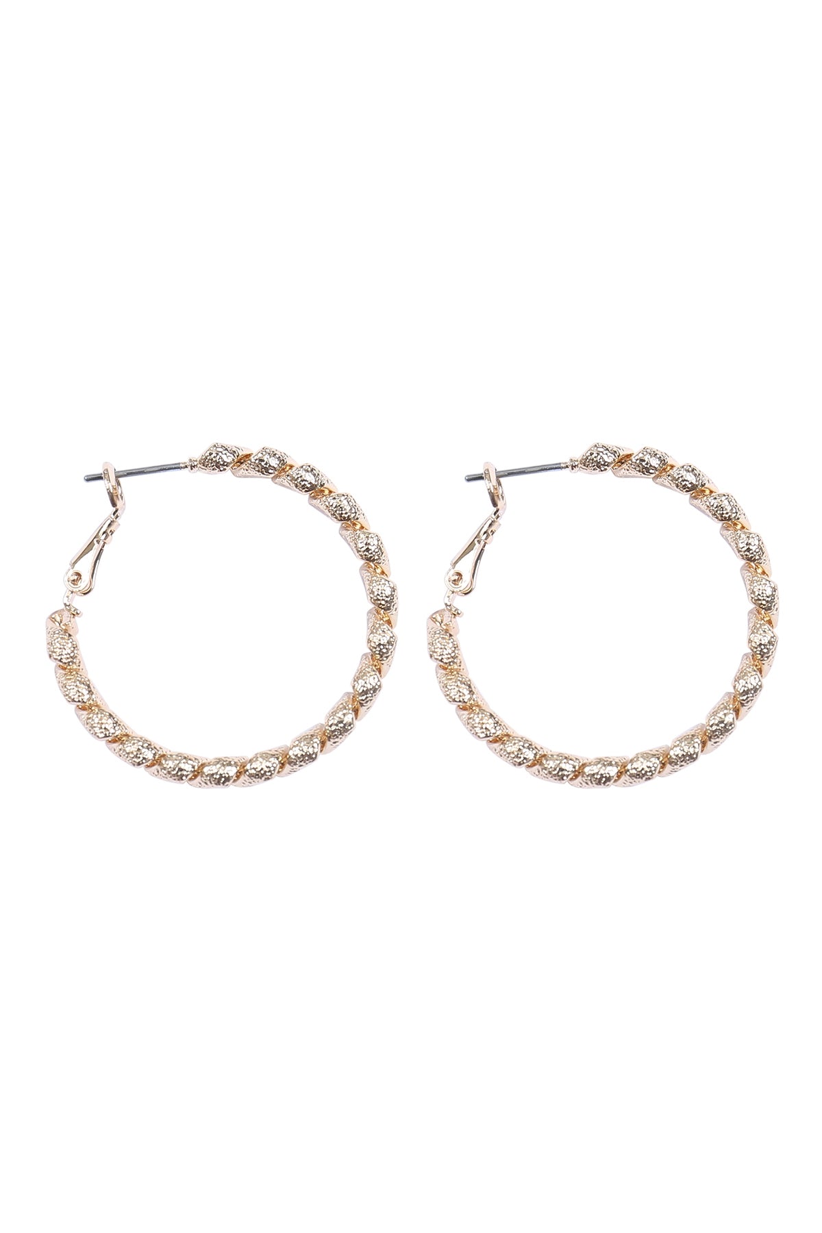 Twisted Pincatch Hoop Earrings